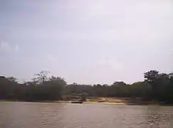 Caño "Brazo Negro" that emerges from the main channel of the Cuyuní River to the North and forms the island of Anacoco (in the background).