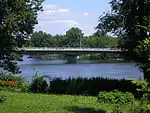 Jacques-Bizard Bridge seen between trees.