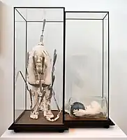 Masochistic alchemy (1966)