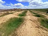Jarmo, March 2021. Remains of the 1948-1955 excavations conducted by the Oriental Institute of the University of Chicago