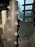 A close-up of the iron spikes of a tetsubō