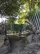 Kangaroo compound