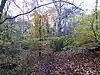 King's Copse
