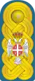 Vojvode epaulettes