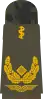 Generalarzt(human medicine)