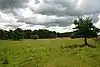 Lakenheath Warren