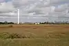 Landguard Common