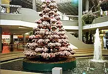 Poinsettia Tree c. 1979