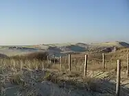 A photo of seaside dunes