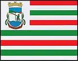 Flags of the city of Liberato Salzano, Rio Grande do Sul, Brazil.