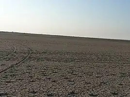 Landscape of Wild Ass Sanctuary.