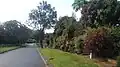 Kwana Street