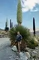 with Italian botanist Luigi Piacenza