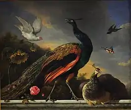 Peacocks, Male and Female (1681), oil on canvas, 1,30 x 1,30&nbsp;cm., Petit Palais, Musée des Beaux-Arts de la Ville de Paris