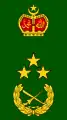 Leftenan jeneral(Malaysian Army)
