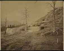 Pulpit Terraces, ca. 1879-1894.