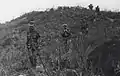 Marines, led by a Vietnamese Kit Carson Scout