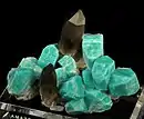 Two smoky quartz crystals surrounded by amazonite crystals, from Smoky Hawk Mine, Crystal Peak, Teller County, Colorado. Size: 11.0&nbsp;cm ×&nbsp;8.2&nbsp;cm ×&nbsp;6.3&nbsp;cm (4.3&nbsp;in ×&nbsp;3.2&nbsp;in ×&nbsp;2.5&nbsp;in).