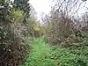 Path following the route of the old railway line in Mill Hill Old Railway Nature Reserve