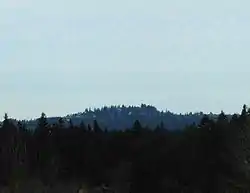 A rounded hill rises in the distance above a dark evergreen forest. The hill is forested too, but buildings are visible through the trees.