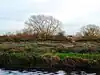 Mountsorrel Meadows