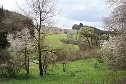 Schwarzenbach nature reserve&nbsp;[de]