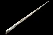 The tusk of a male narwhal on display. The white tusk is long and shaped like a spiral