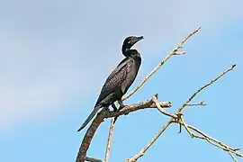 In Costa Rica