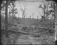 Black and white photo shows a pile of logs and earth in a forest.