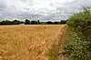 Newney Green Pit