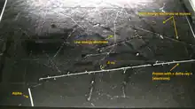 Image taken in the Pic du Midi at 2877&nbsp;m in a Phywe PJ45 cloud chamber (size of surface is 45 × 45 cm). This rare picture shows in a single shot the 4 particles that are detectable in a cloud chamber : proton, electron, muon (probably) and alpha
