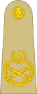 Urdu: فیلڈ مارشل, romanized: field marchell(Pakistan Army)