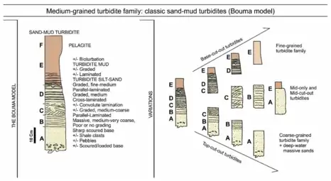 Medium-grained turbidite familyThe ideal Bouma facies model showing the complete sequence of divisions A–E, while F is a typical partial sequence found in nature.