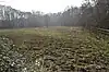 Old Rectory Meadows