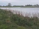 The new Anabranch called Reevediep&nbsp;[nl]