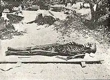 Skeleton of king Tabnit