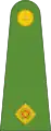 Second lieutenant(Papua New Guinea Land Element)