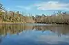 A picture of a lake with dormant trees in the back