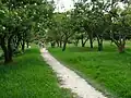 Biking track