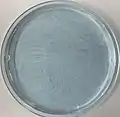 Pattern Formation from Blue Bottle Experiment in Room Temperature
