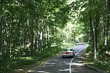 Photograph of the Pierce Stocking Scenic Drive showing a