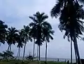 Kribi Beach
