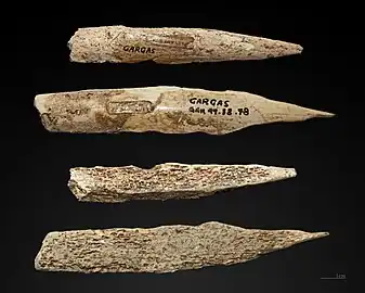 Two Gravettian awls
