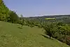 Polhill Bank