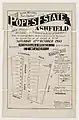Pope's Estate, Ashfield, 1903, Richardson & Wrench, lithograph S T Leigh