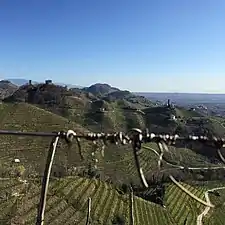 Prosecco Valley