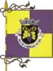 Flag of Carregal do Sal
