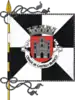 Flag of Castelo Branco
