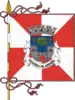 Flag of Oliveira de Azeméis