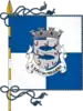 Flag of São João da Pesqueira